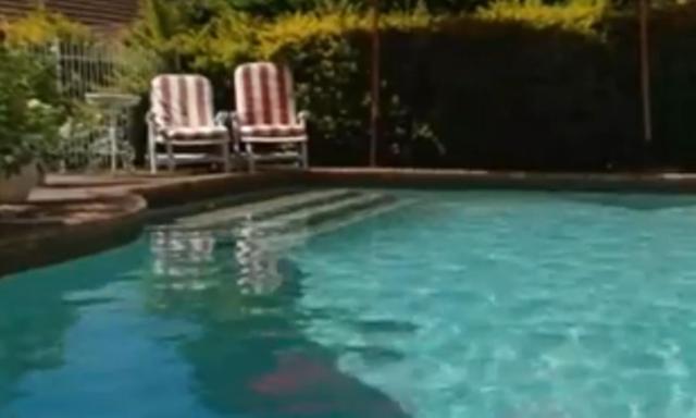 Duikerfontein Bed And Breakfast Durban Eksteriør billede